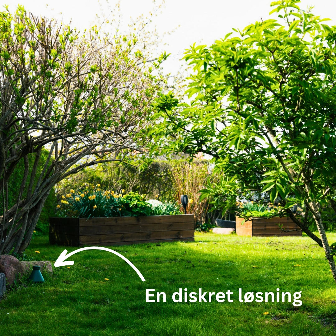 Sneglefælden