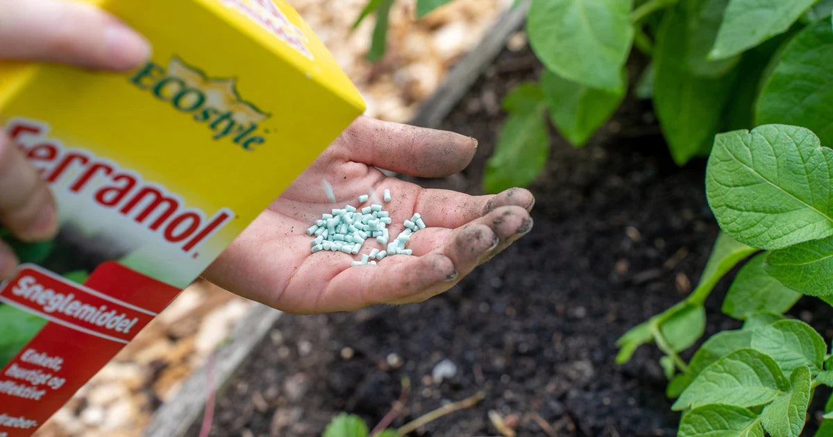 Ferramol Sneglemiddel